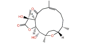 Pachyclavulariolide R